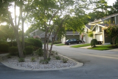 CV_IMG_3607