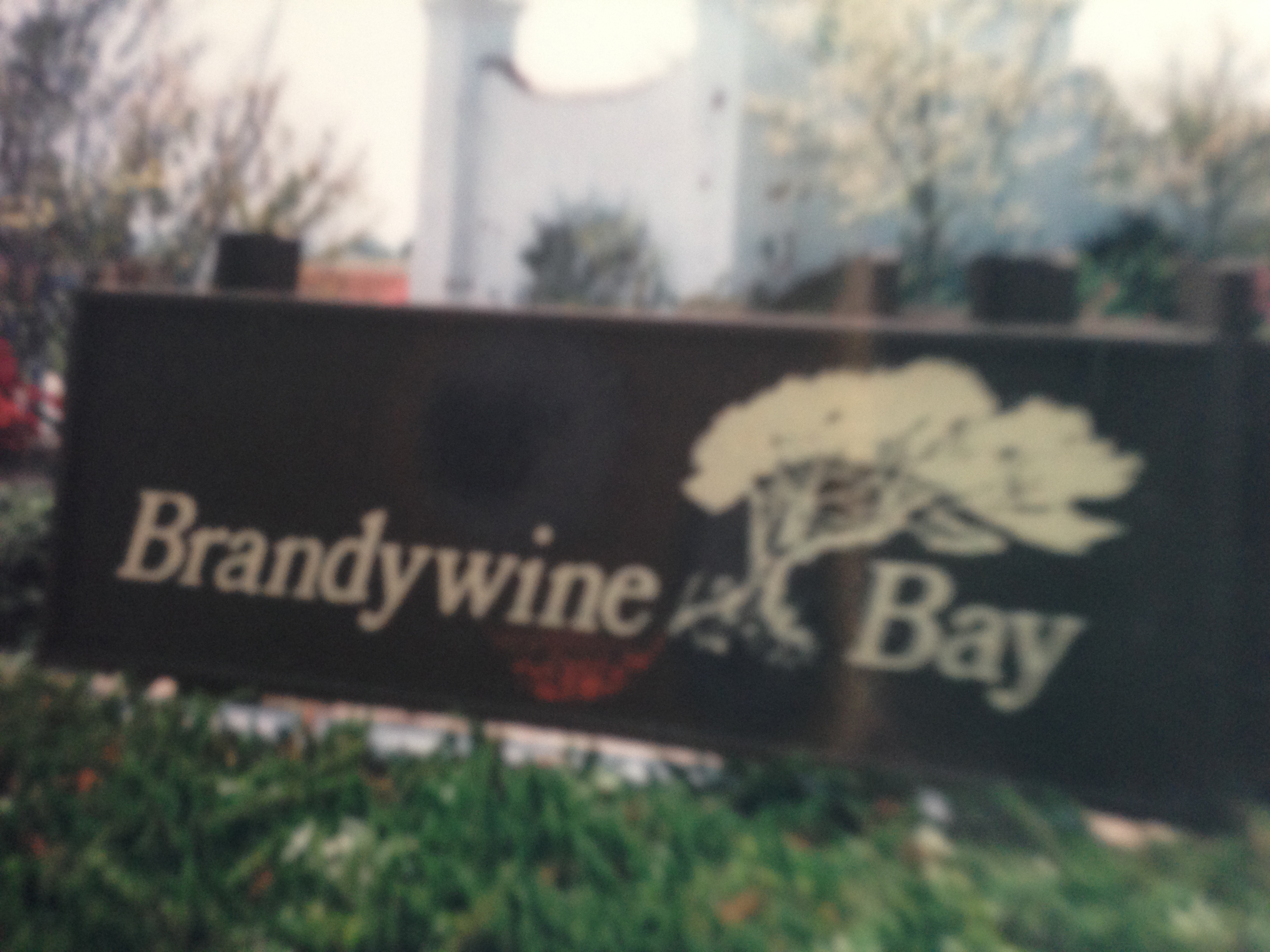 This is Brandywine Bay!