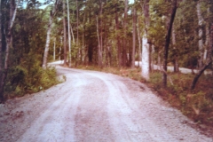 Our first visible road.